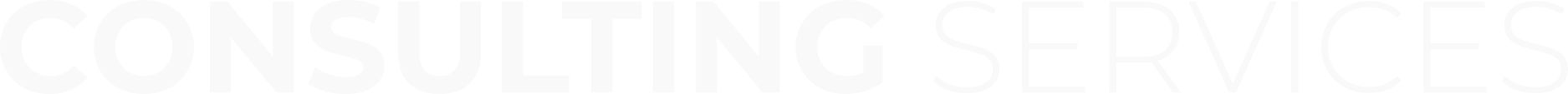 Microsoft Consulting Services